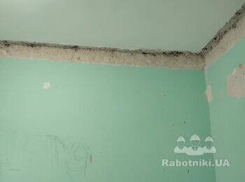 Подготовить стены и потолок под покраску (штукартуркашпаклевка)