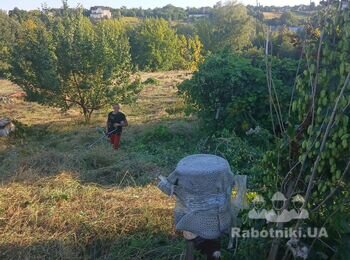 Зібрати скошену траву