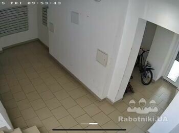 Фарбування підїздів