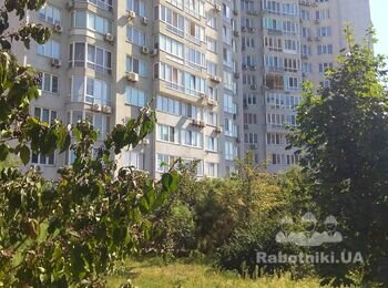 Фасадні висотні роботи