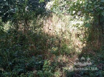 Скошування трави на галявинах біля житлового будинку