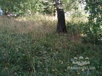 Скошування трави на галявинах біля житлового будинку