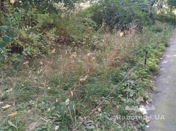 Скошування трави на галявинах біля житлового будинку
