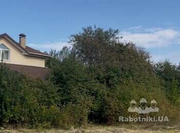 Чистка ділянки: рубка дерев і кущів, порізка