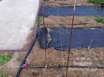 Траншея для газової труби 46м