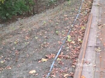 Рулонный газон