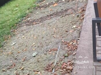 Рулонный газон