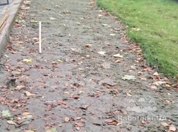 Рулонный газон