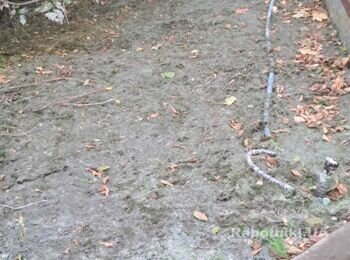 Рулонный газон