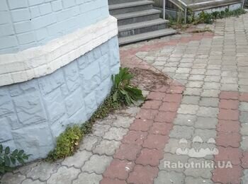 Відновлення гідроізоляції цоколя до 100 м. кв. Бруківка 102 м. кв.