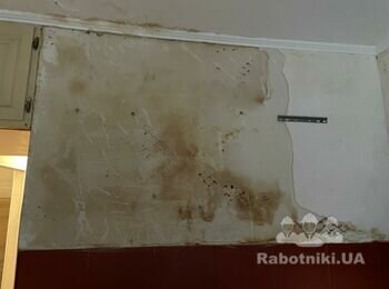 Відновлення стін після затоплення