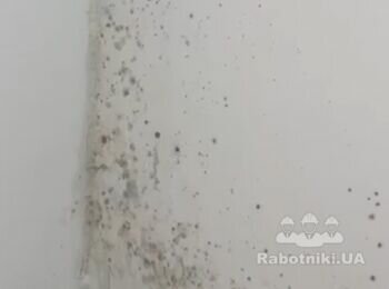 Локальный ремонт