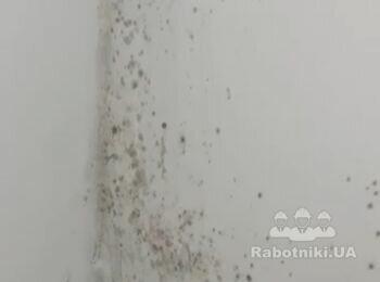 Локальный ремонт