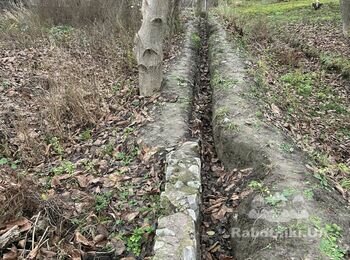 Паркан з профлисту+ворота з каліткою