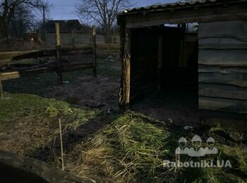 Сколотити деревяний сарай