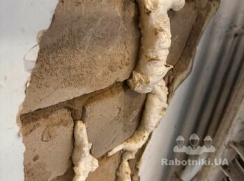 Зашпаклювати пошкодження у стінах і пофарбувати