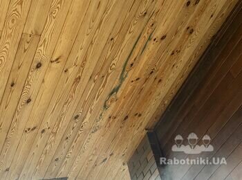 Обробка дерева від плісняви на внутрішній стороні даху