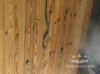Обробка дерева від плісняви на внутрішній стороні даху
