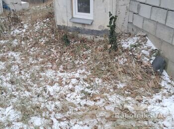 Залити бетонну відмостку 60 кв.м. навкруг будинку