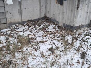 Залити бетонну відмостку 60 кв.м. навкруг будинку