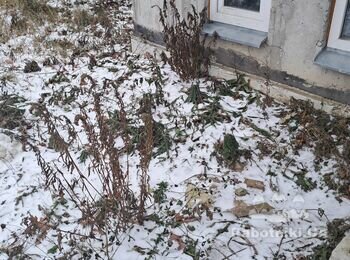 Залити бетонну відмостку 60 кв.м. навкруг будинку