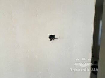 Слаботочка (Камери, Домофон, WIFI) ХОДОСІЇВКА