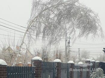 Зрізати гілки на дереві