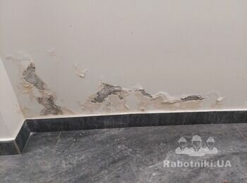 Обробити від грибка, шпаклівка, фарбування стін