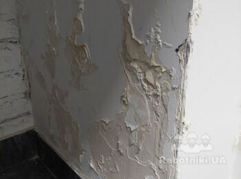 Обробити від грибка, шпаклівка, фарбування стін