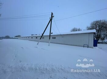 Виконання покрівельних робіт для складського приміщення (с/г)