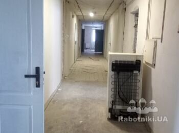 Стеля Армстронг