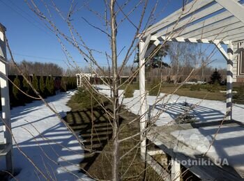 Будівництво басейну