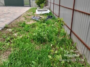 Планировка и озеленение