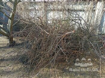 Порезать и убрать садовые ветки