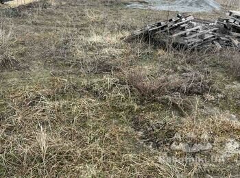 Планировка земли и посев газона