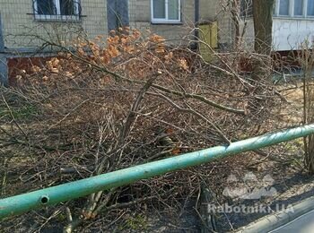 Вывоз срезанных деревьев и веток (Киев)