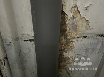 Покраска стен в туалете