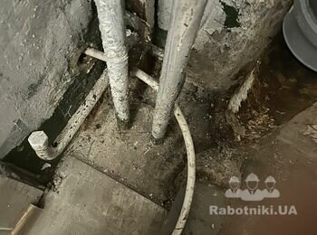 Покраска стен в туалете