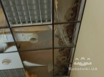 Ремонт після залиття водою