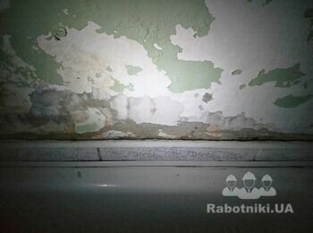 Борьба с грибком и покраска стены в ванной