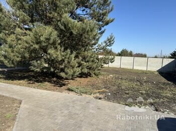 Підготовка ділянки + посів газону+догляд