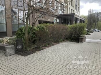 Підстригти кущі