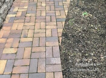 Тротуарная плитка ремонт