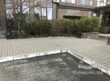 Підстригти кущі