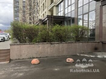 Підстригти кущі