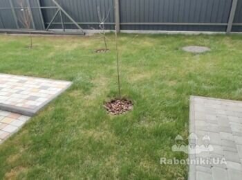 Автополив 3 сот Вишеньки