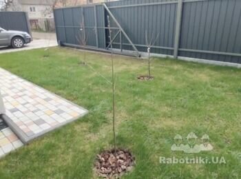 Автополив 3 сот Вишеньки