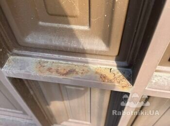 Малярні роботи по фарбуванню воріт