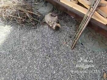 Улаштування бруківки