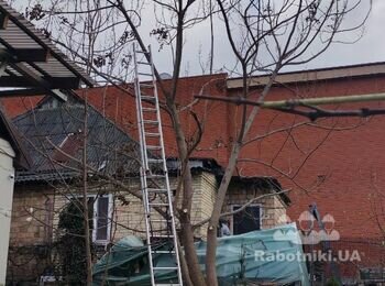 Знести два дерева